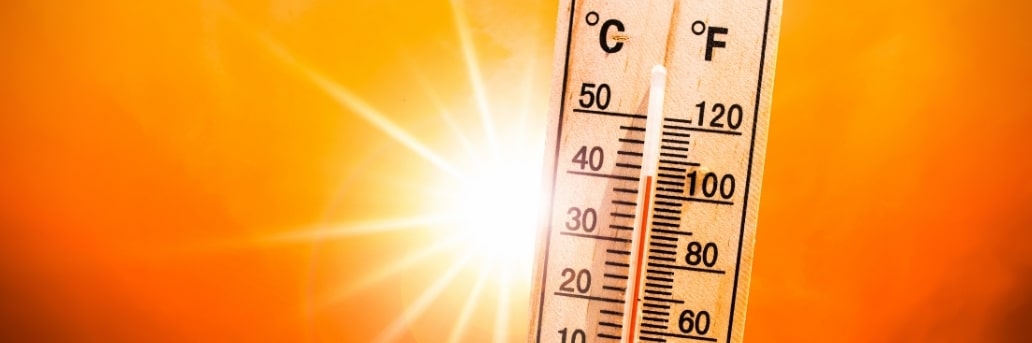 Canicule obligation entreprise